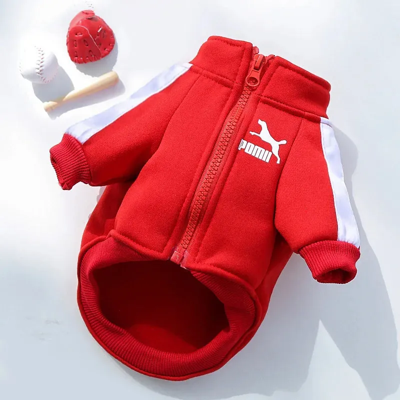 Sportive Dog Jacket